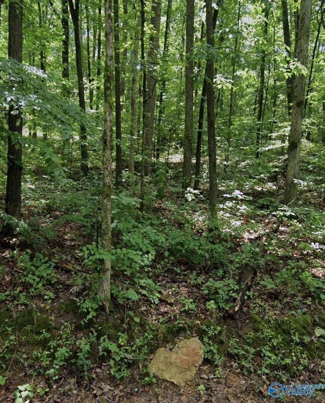 Lot 19 Lindsey Lane, Guntersville, AL 35976  624053732 for Sale
