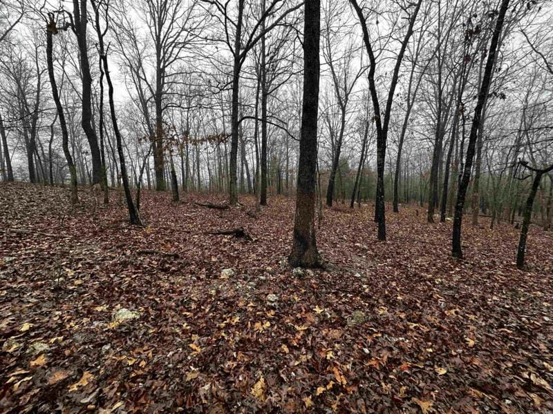0 BARNES RD, Evening Shade, AR 72532 Land For Sale  MLS# 24002515
