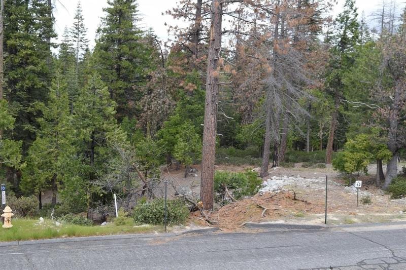 Shaver Lake, Fresno County, CA Homesites for sale Property ID: 418766151