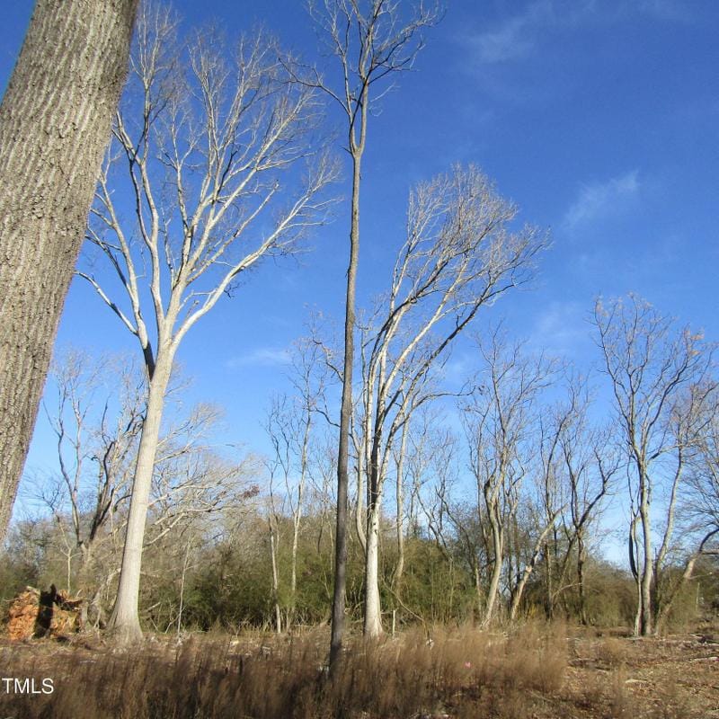 Seagrove, Randolph County, NC Undeveloped Land, Homesites for sale Property ID: 418886325