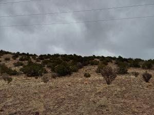 Placitas, Sandoval County, NM Undeveloped Land, Homesites for sale Property ID: 418763782