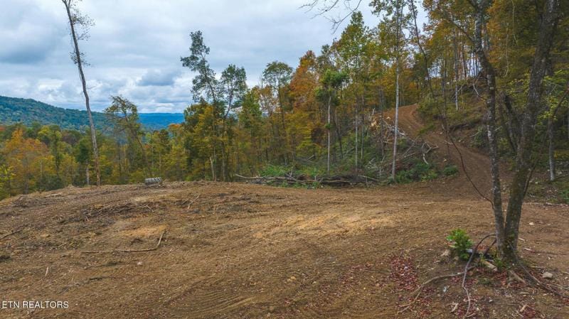 OFF PANTHER CREEK RD, Sneedville, TN 37869 Farm For Sale  MLS# 1251986 for Rent