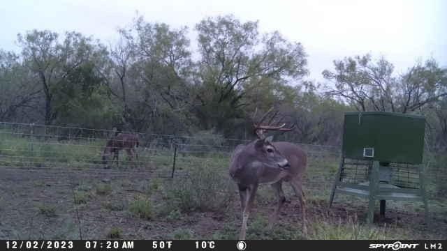Jourdanton, Atascosa County, TX Farms and Ranches, Recreational Property, Hunting Property for sale Property ID: 418771967