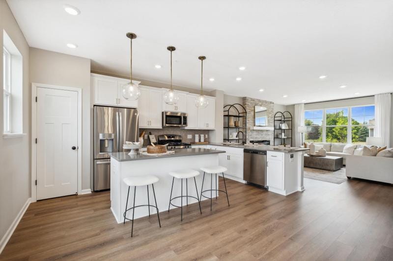 13611 Pine Street, Rogers, MN 55374 for Sale