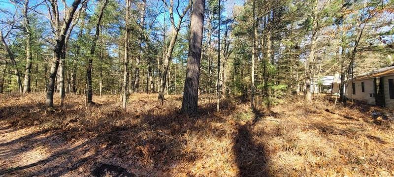 W Watson Ave, Pentwater, MI 49449  MLS# 24006971 for Sale