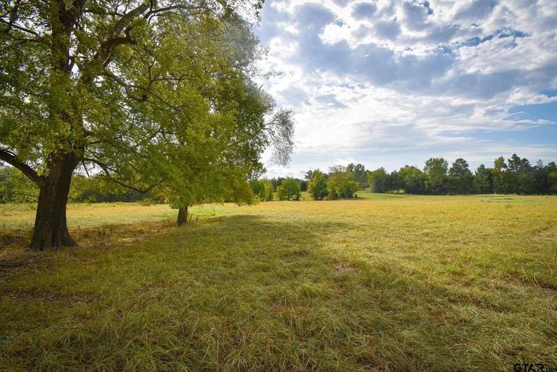 12737 Ridgeway Ct, Winona, TX 75792 for Sale