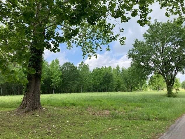 Tbd Vzcr 4511, Ben Wheeler, TX 75754 - MLS 20421542 for Sale