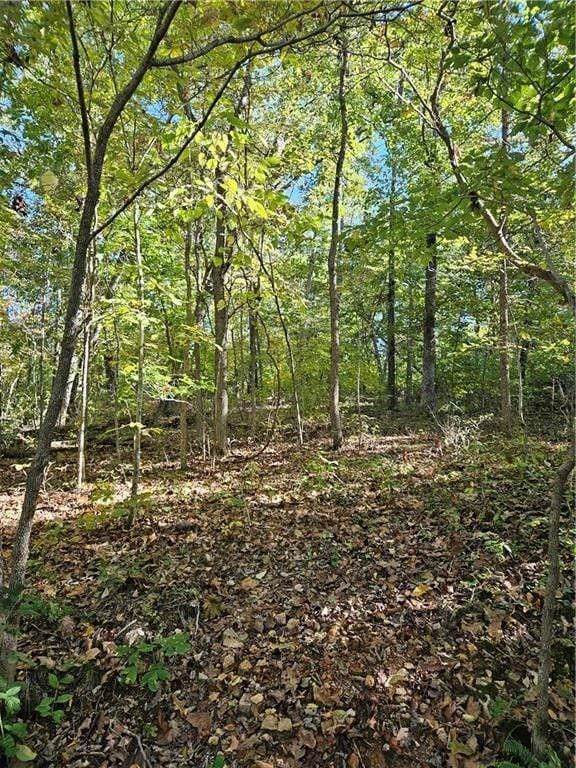 Bella Vista, Benton County, AR Undeveloped Land, Homesites for sale Property ID: 417991383