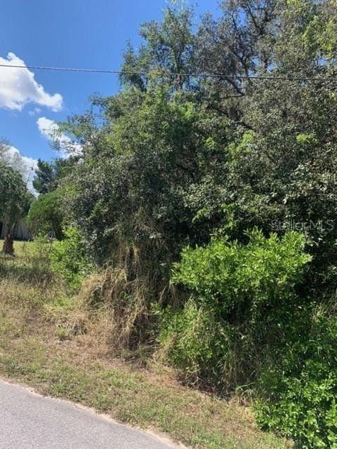 Lake Wales, Polk County, FL Undeveloped Land, Homesites for sale Property ID: 336531536