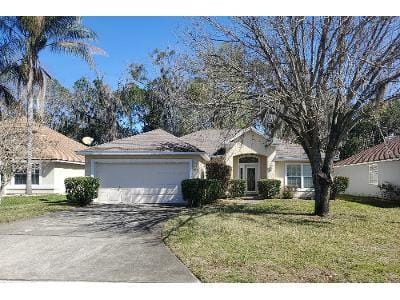 Dalmation Ln E for Sale