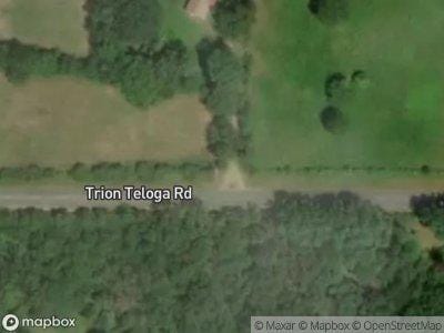 Trion Teloga Rd for Sale