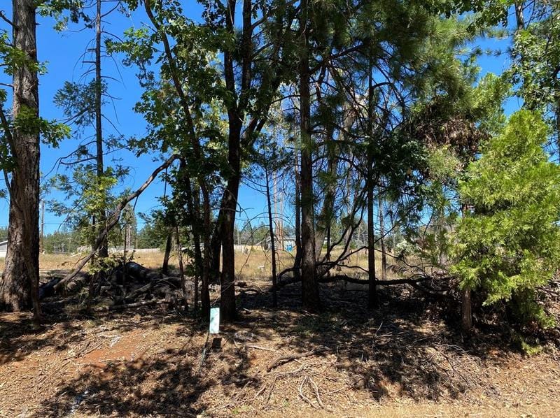 0 S Park Dr, Magalia, CA 95954 - MLS SN23147402 for Sale