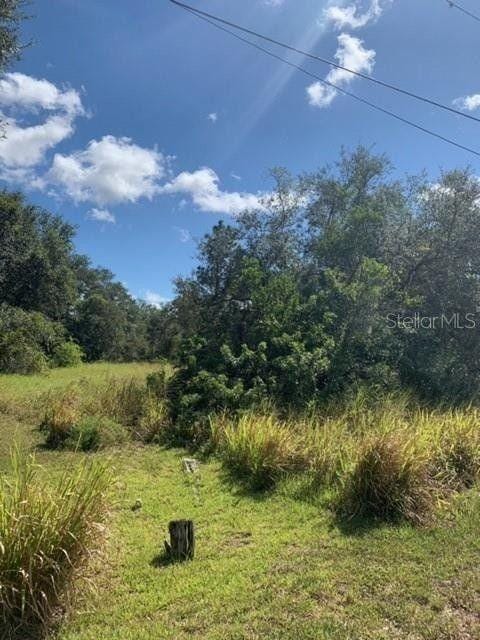 Babson Park, Polk County, FL Undeveloped Land, Homesites for sale Property ID: 336531534