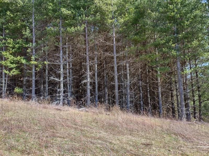 Lot 8 Alta Vista Ln, Sparta, NC 28675 - MLS 1064707 for Sale