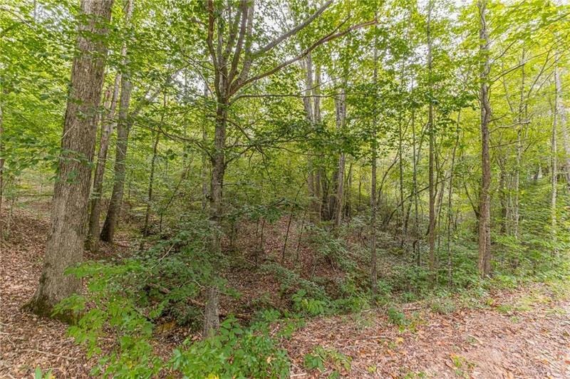 4033 HIDDEN HOLLOW DR, Gainesville, GA 30506 Land For Sale  MLS# 7327039