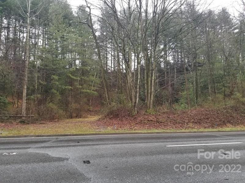 1778 Asheville Hwy, Brevard, NC 28712 - MLS 3592287 for Sale