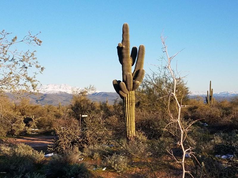 Scottsdale, Maricopa County, AZ Undeveloped Land, Homesites for sale Property ID: 412396892