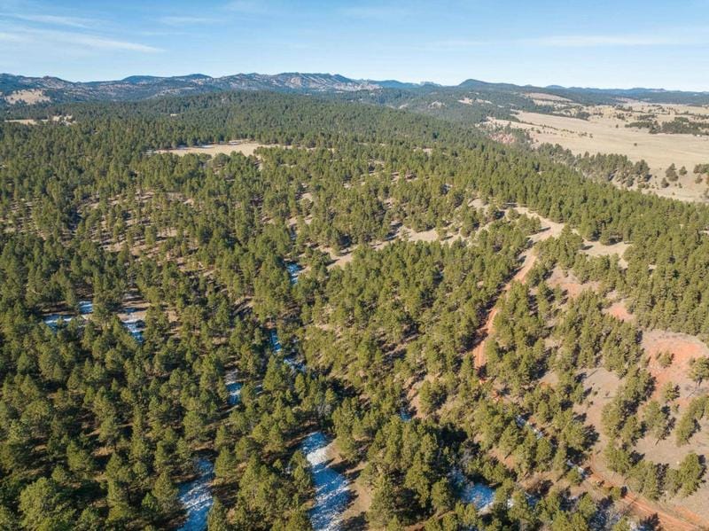 TBD VIP ROAD, Hermosa, SD 57744 Land For Sale  MLS# 75051