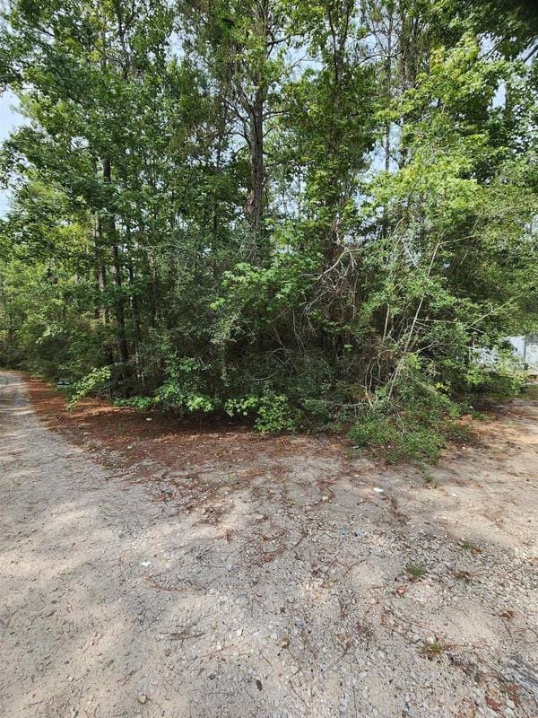 290 Deodar Drive, Brookeland, TX 75931 for Sale