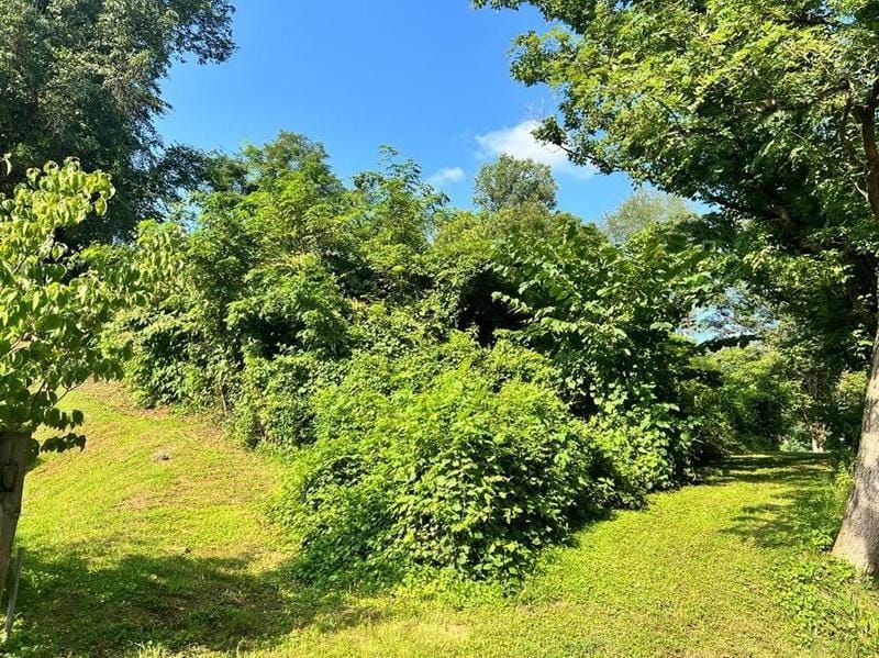 Pikeville, Pike County, KY Undeveloped Land, Homesites for sale Property ID: 417139346