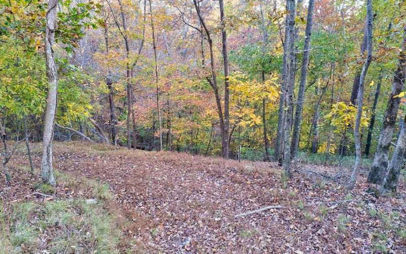 Lot 422 Zeblin Road, Ellijay, GA 30540  608915486 for Sale