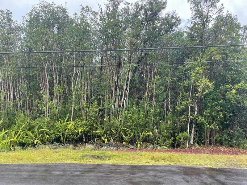 LEHUA ST, MOUNTAIN VIEW, HI 96771 Land For Sale  MLS# 704655