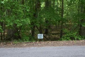 107 TREASURE TREE RD, Ten Mile, TN 37880 Land For Sale  MLS# 1008696 for Rent