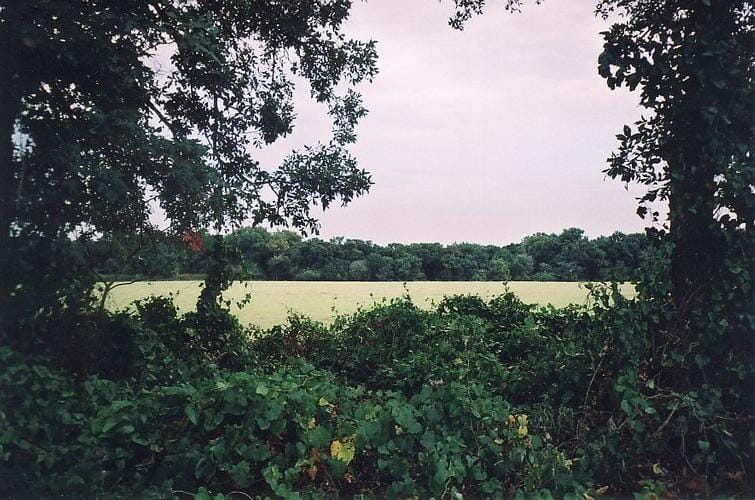 Thackerville, Love County, OK Farms and Ranches, Undeveloped Land, Commercial Property for sale Property ID: 332303697