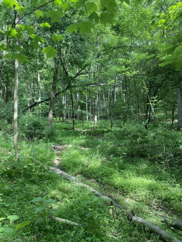 TBD SPRING DRIVE, Newport, VA 24128 Land For Sale  MLS# 412341