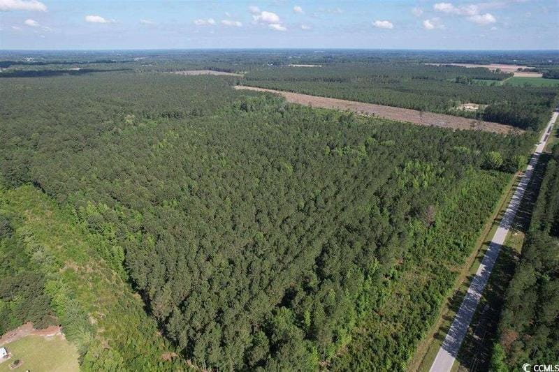 TBD N Old Georgetown Rd, Lake City, SC 29560  604649354 for Sale