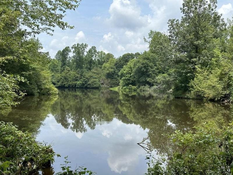 Haleyville, Winston County, AL Farms and Ranches, Recreational Property, Hunting Property for sale Property ID: 416345478