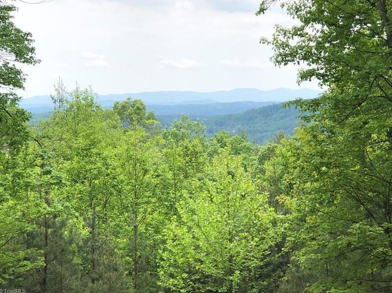Lot 192 Blazing Ridge Rd, Mc Grady, NC 28659 - MLS 1106725 for Sale