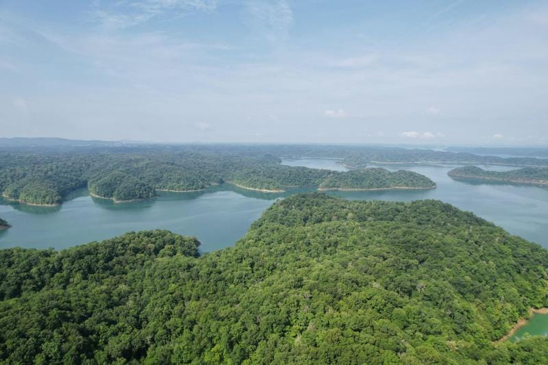 Monticello, Wayne County, KY Undeveloped Land for sale Property ID: 416951570