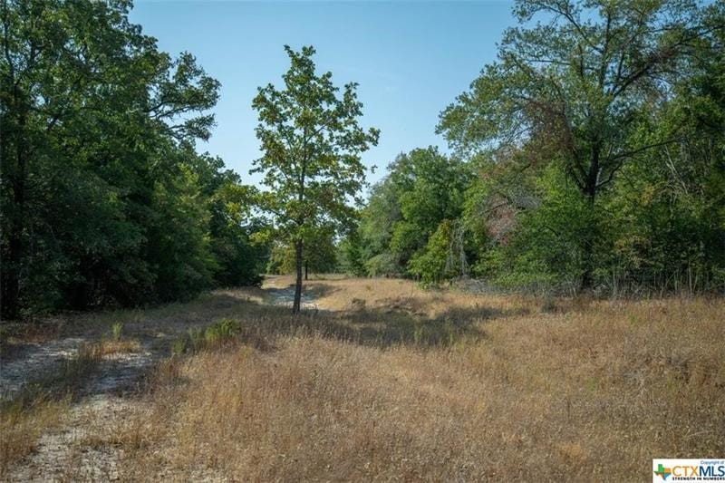 TBD S Tidwell Prairie Road, Calvert, TX 77837 for Sale