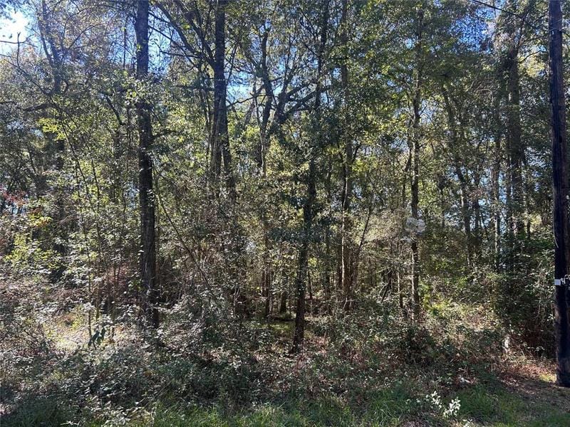 30 Meyer Rd, Huffman, TX 77336 for Sale