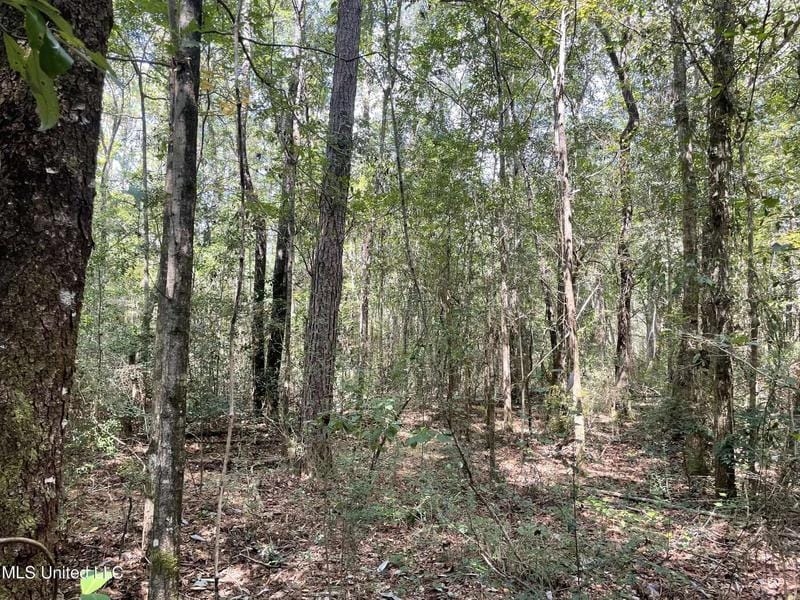 16509 Mcgregor Road, Vancleave, MS 39565  603548784 for Sale