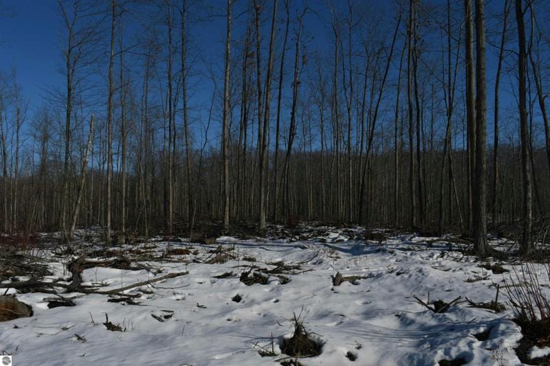 PARCEL J ROAD TBD, Mikado, MI 48738 Land For Sale  MLS# 1914892