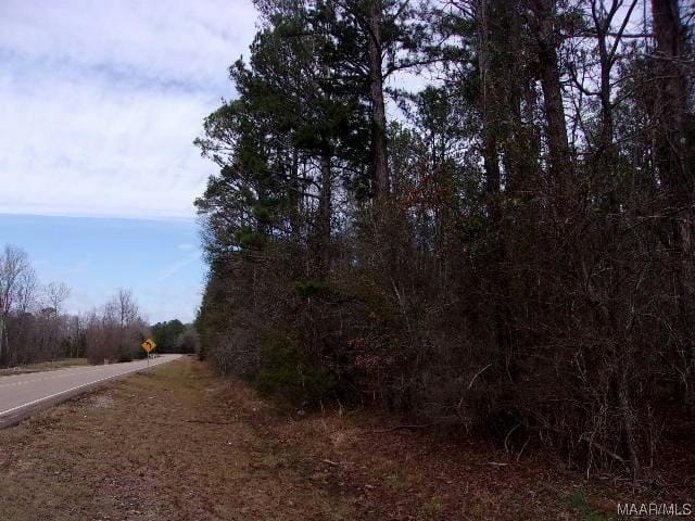 1913 STATE HIGHWAY 94, Ramer, AL 36069 Land For Sale  MLS# 550300