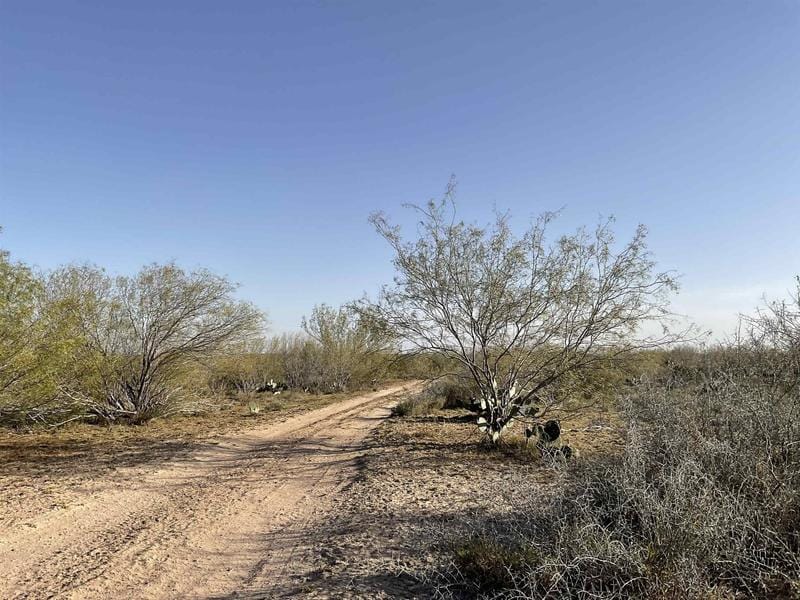 Mangana Hein Saw II TR 59, Laredo, TX 78046 for Sale