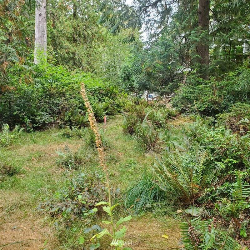 655 East Portage Road, Shelton, WA 98584 - MLS 1842156 for Sale