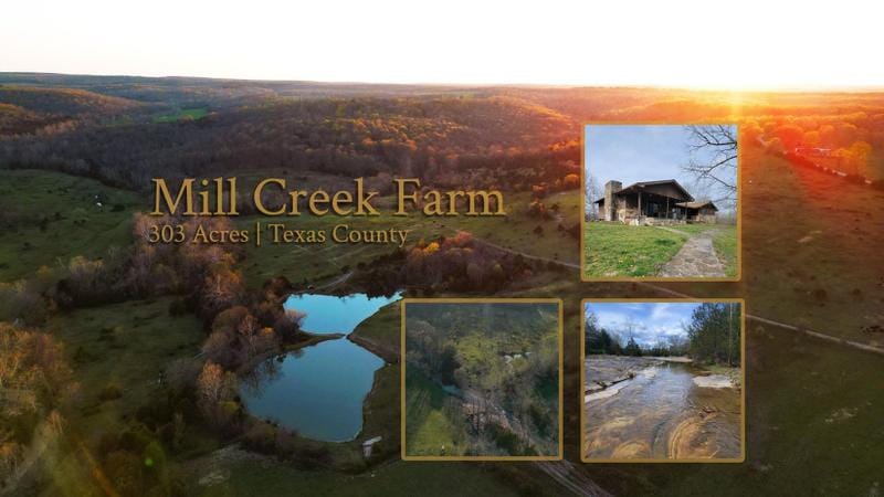 Plato, Texas County, MO Farms and Ranches, Lakefront Property, Waterfront Property, House for sale Property ID: 417040746