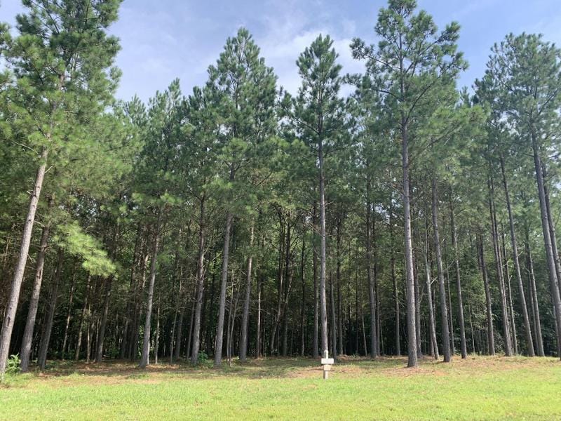 Jasper, Marion County, TN Undeveloped Land, Homesites for sale Property ID: 416069115