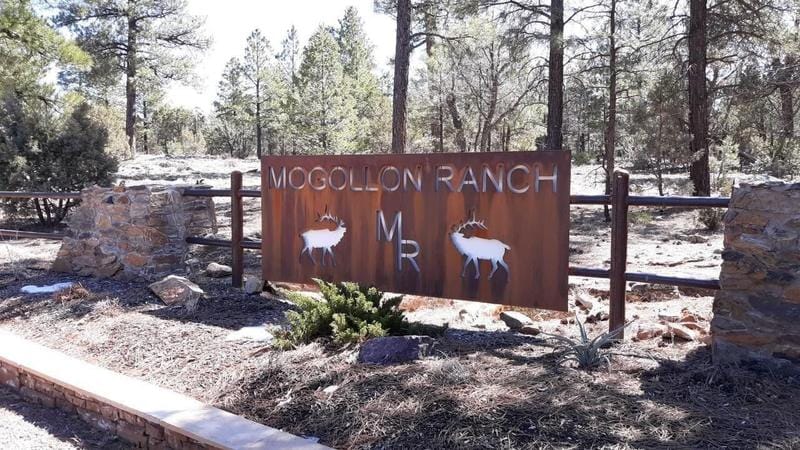 Happy Jack, Coconino County, AZ Undeveloped Land for sale Property ID: 418549355