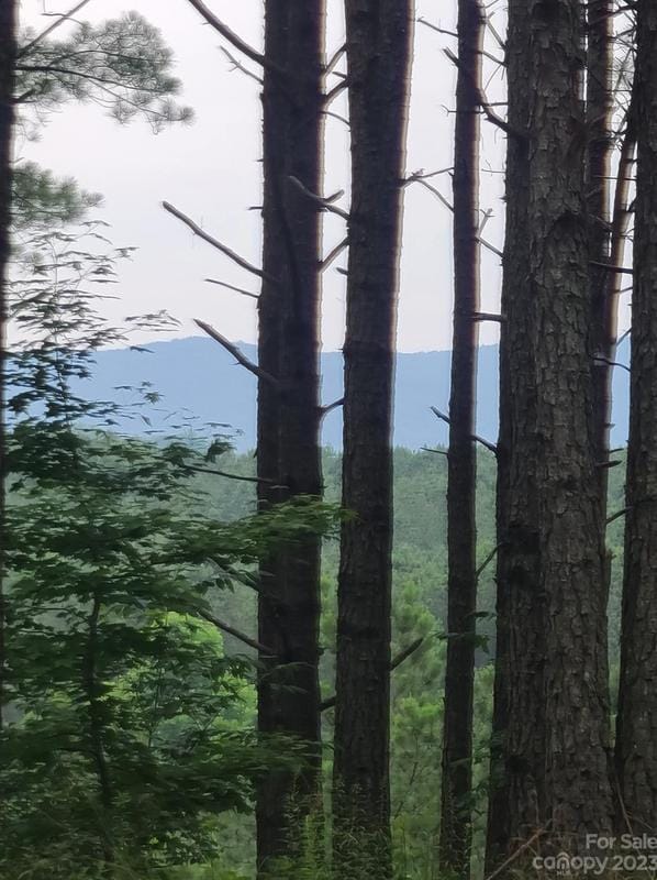 122 Table Rock Trace, Valdese, NC 28690 - MLS 4064171 for Sale