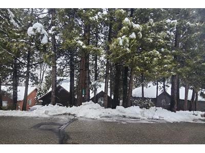 Forest Meadows Dr for Sale