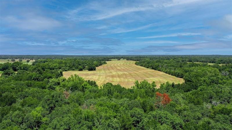 8575 E Farm Road 485, Cameron, TX 76520 for Sale