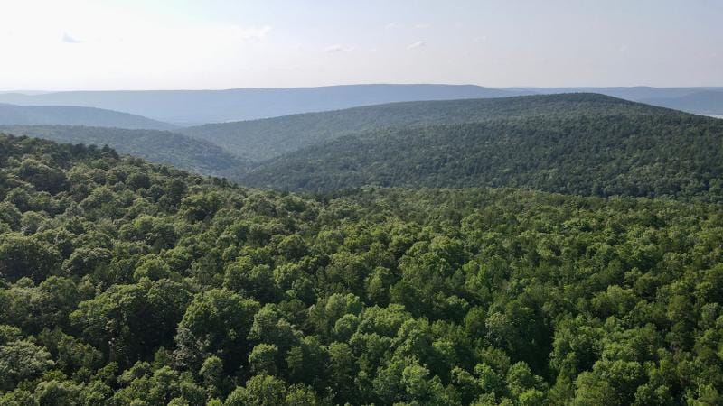 Clayton, Pushmataha County, OK Recreational Property, Undeveloped Land, Hunting Property for sale Property ID: 417652443