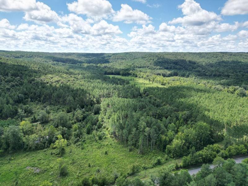 Youngtown, Lawrence County, AL Timberland Property, Hunting Property, Lakefront Property, Waterfront Property for sale Property