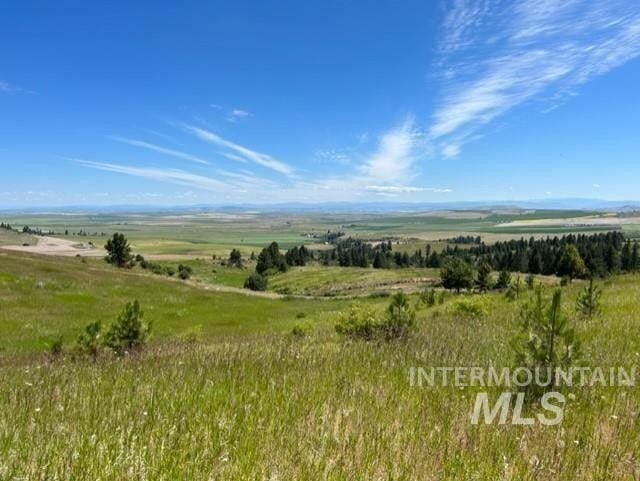 Cottonwood, Idaho County, ID Undeveloped Land for sale Property ID: 416944130