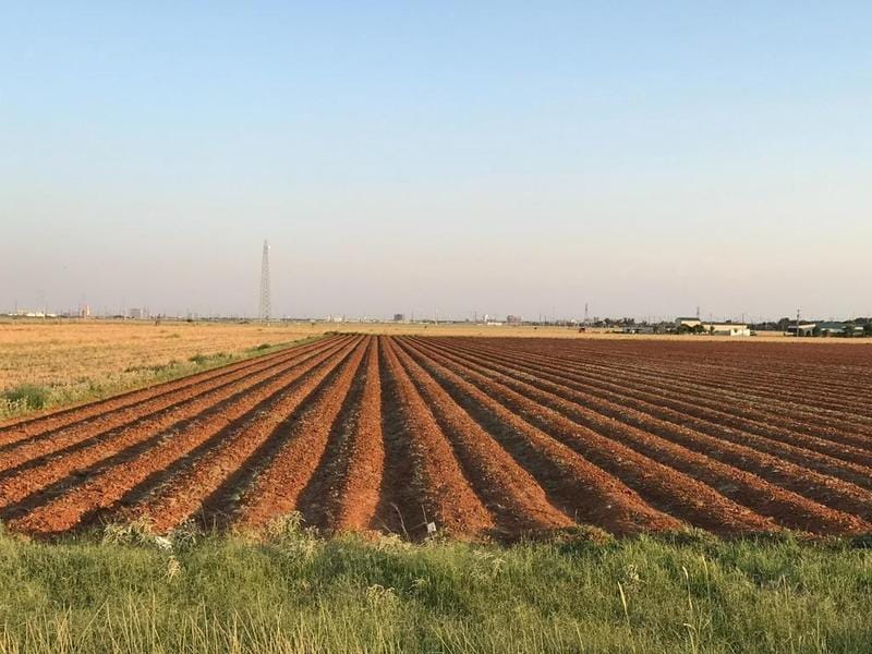 Address not Available, Lubbock, TX 79415 for Sale